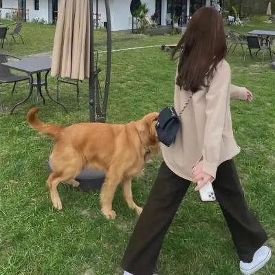 北极百货的秋乃小姐
